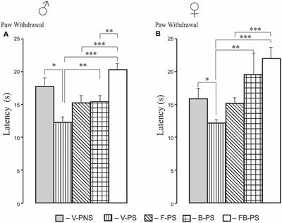 Differences Between the Prenatal Effects of Fluoxetine or Buspirone Alone or in Combination on Pain and Affective Behaviors in Prenatally Stressed Male and Female Rats